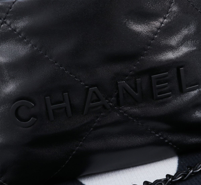 Chanel Hobo 22 Bags